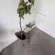 XL cork bark vase