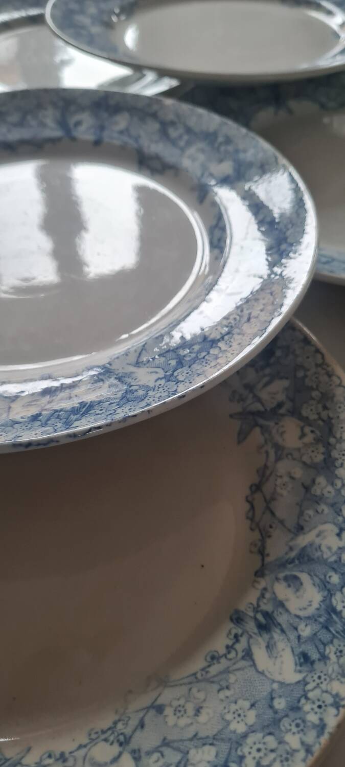 Set of 6 iron earthenware plates