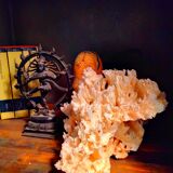 White coral