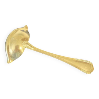 sauce spoon