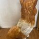 Collie dog sculpture