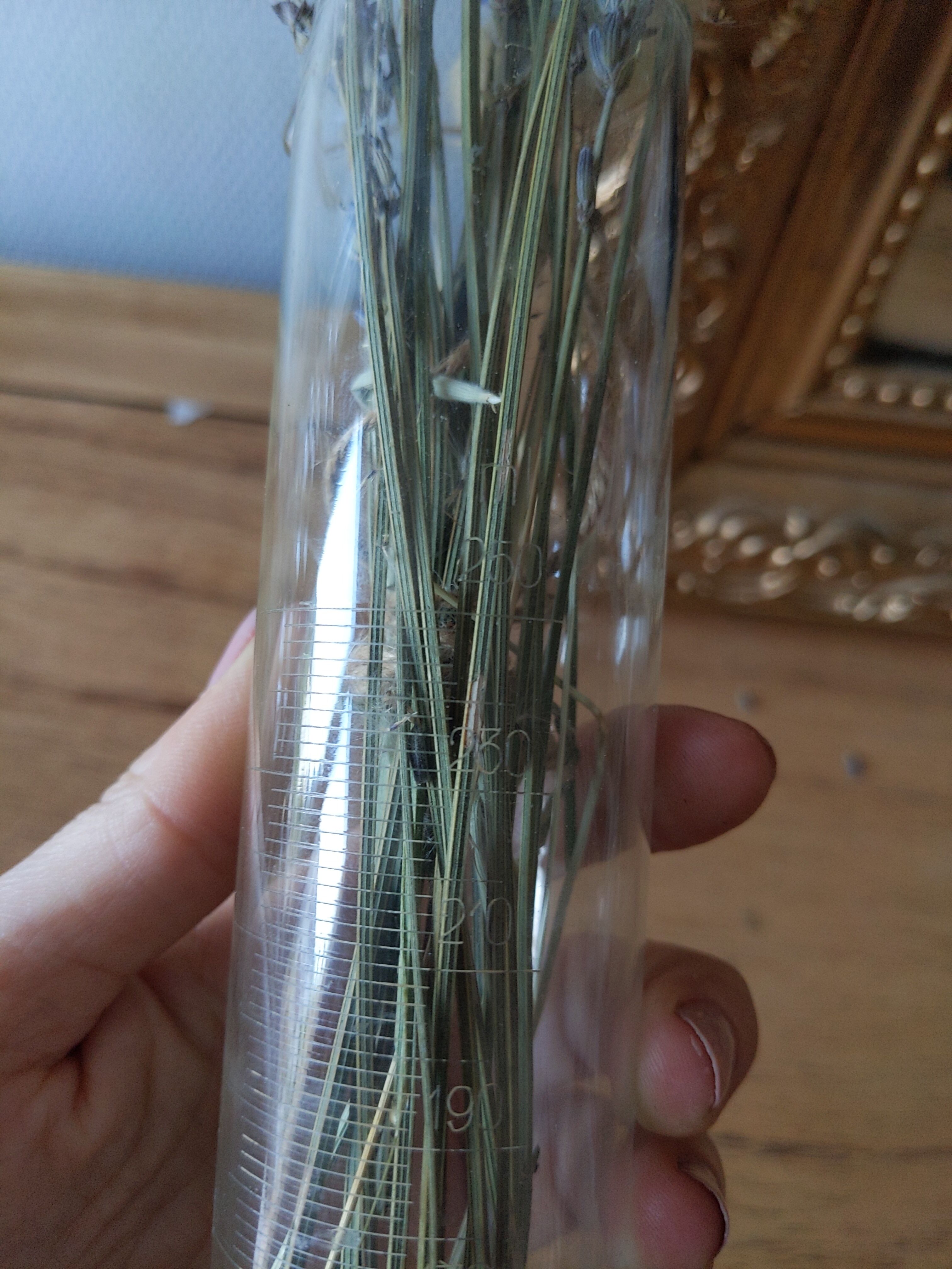 vintage vase graduated test tube