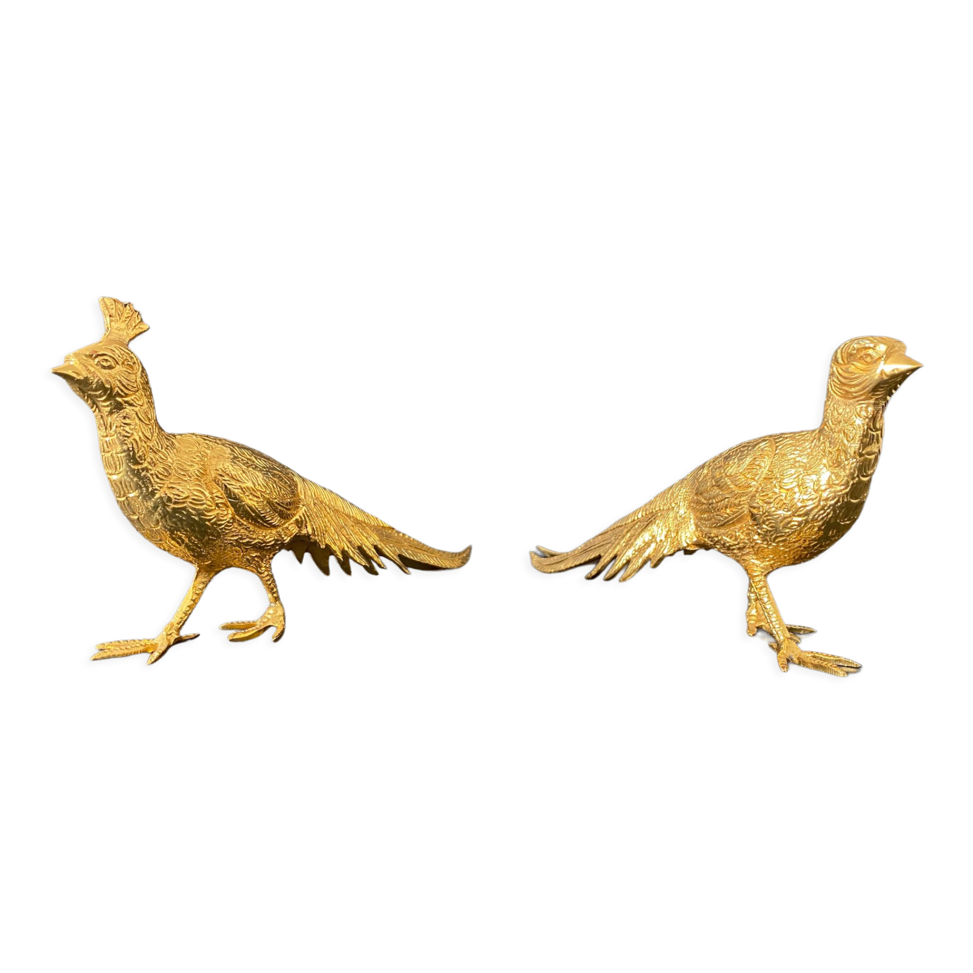 Couple of golden pheasants vintage decoration