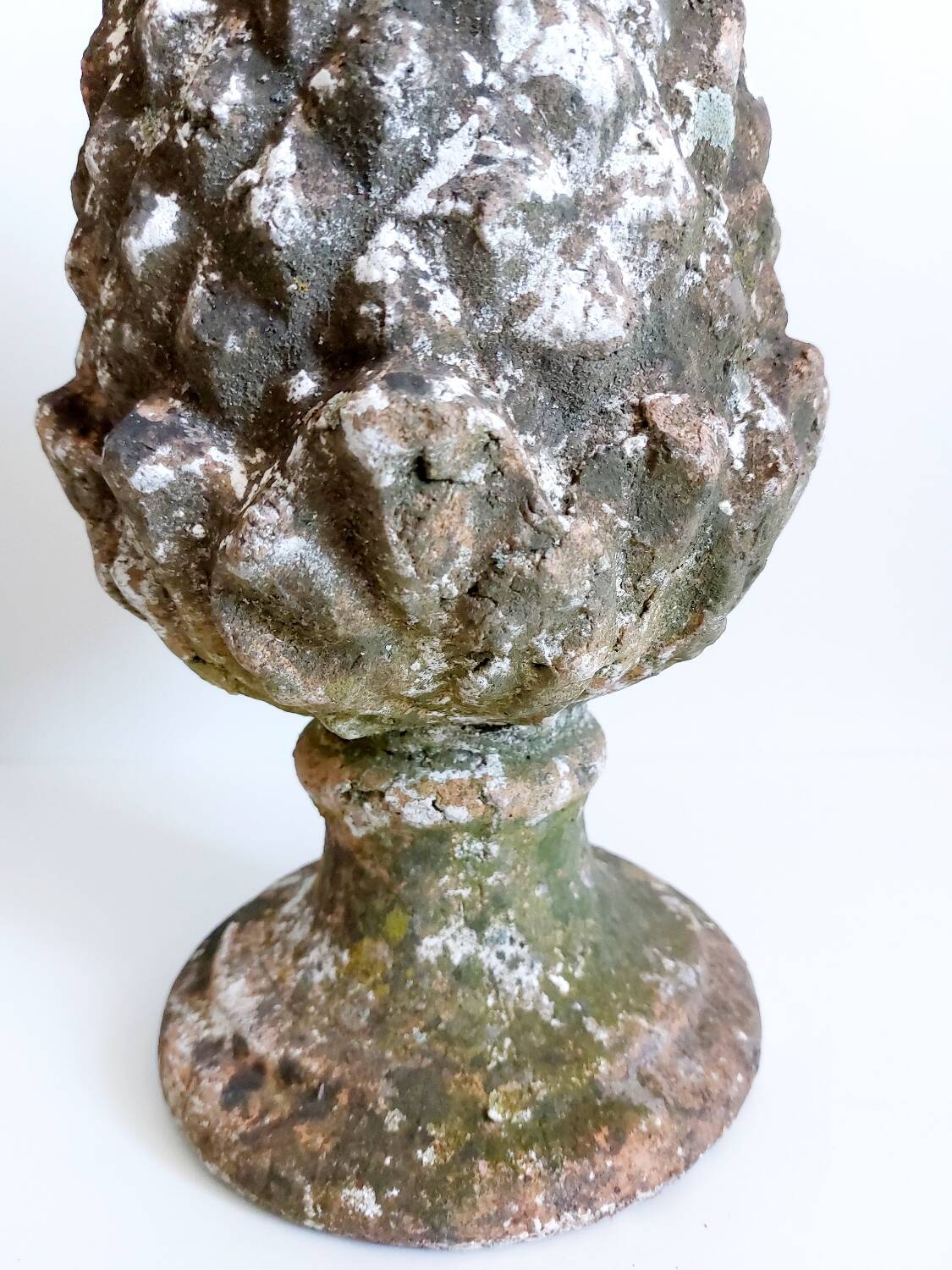 Garden pine cone