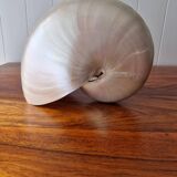 Nautilus Mother-of-pearl shell Nautilus