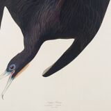 Poster of the superb frigate, based on an old engraving from 1827