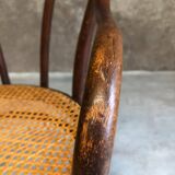 Thonet armchair in curved wood and canework, model n18