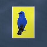 Bird "Grandala" - Original Drawing