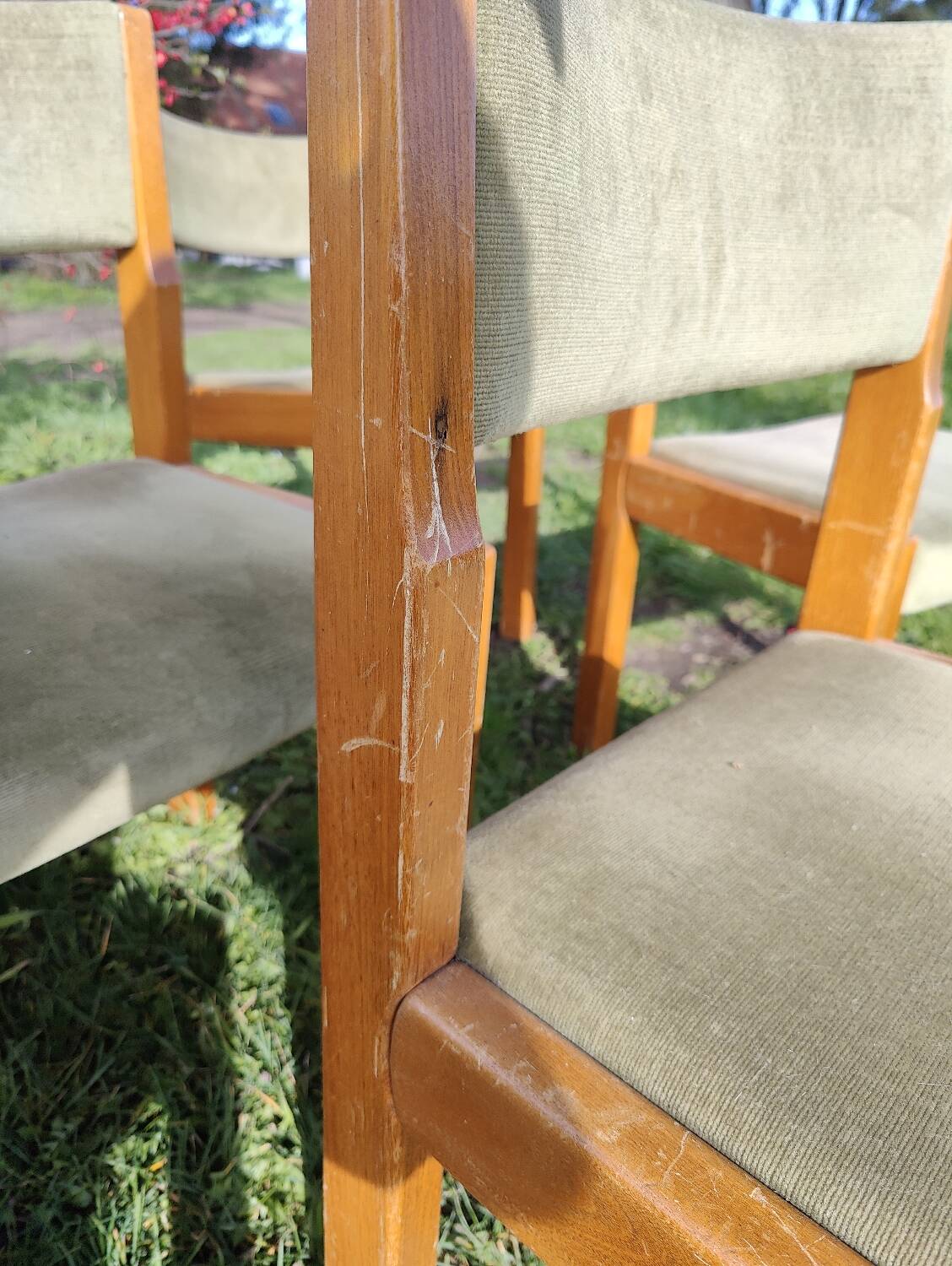 Set of 6 wooden chairs with velvet seat