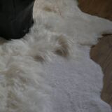 Sheep's skin