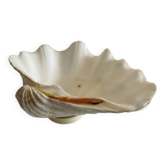Large holy water clam shell on base - 34x25x11 cm - natural - 2600g