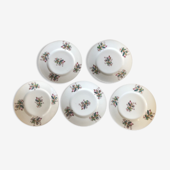 Set of 5 flowered dessert plates