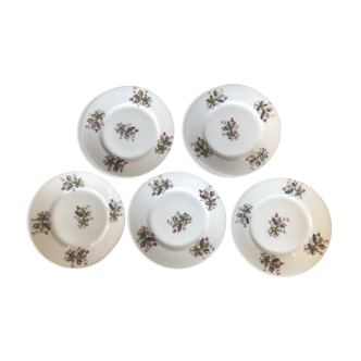 Set of 5 flowered dessert plates