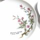 Lot de 6 assiettes à dessert de Bavière mobil décor fleurs roses