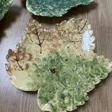 Cabbage plate
