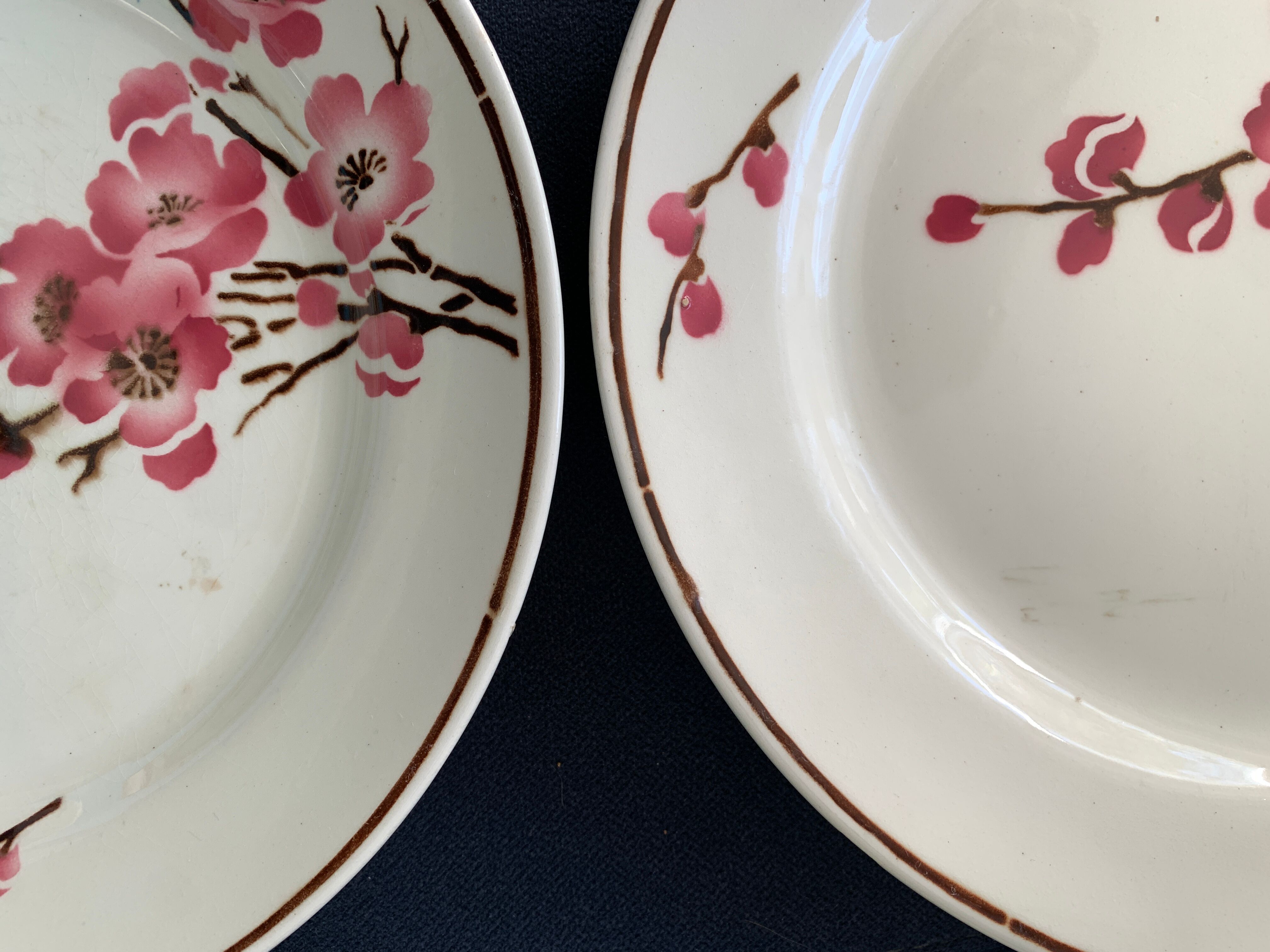 11 dessert plates Saint Amand Terre de Fer, 1930