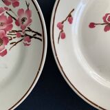 11 dessert plates Saint Amand Terre de Fer, 1930