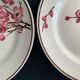 11 dessert plates Saint Amand Terre de Fer, 1930