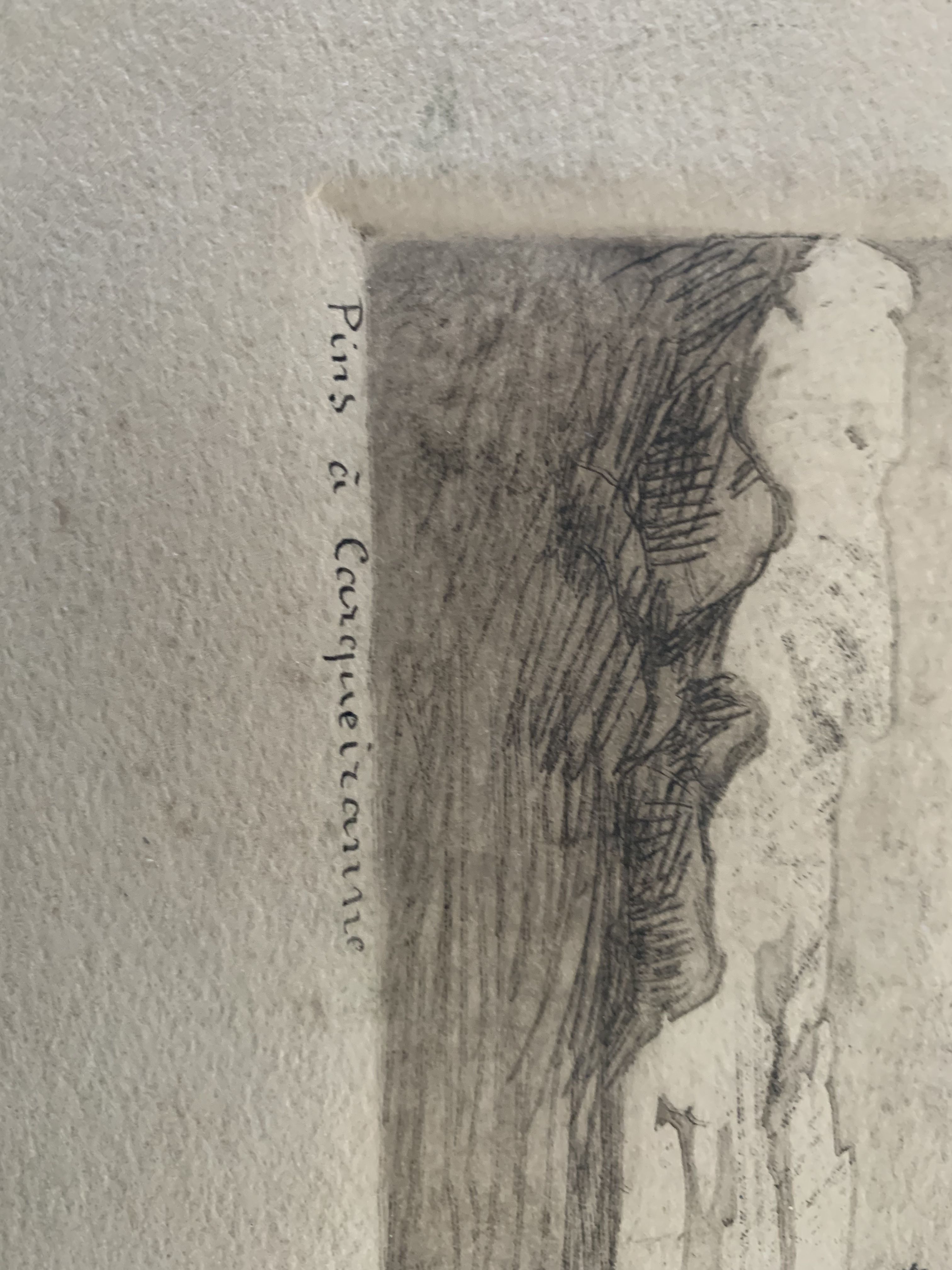 Charcoal drawing and ink the pines Carqueiranne sign Ryg