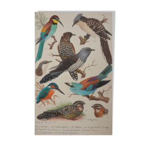 Louis Delapchier : Guêpier,