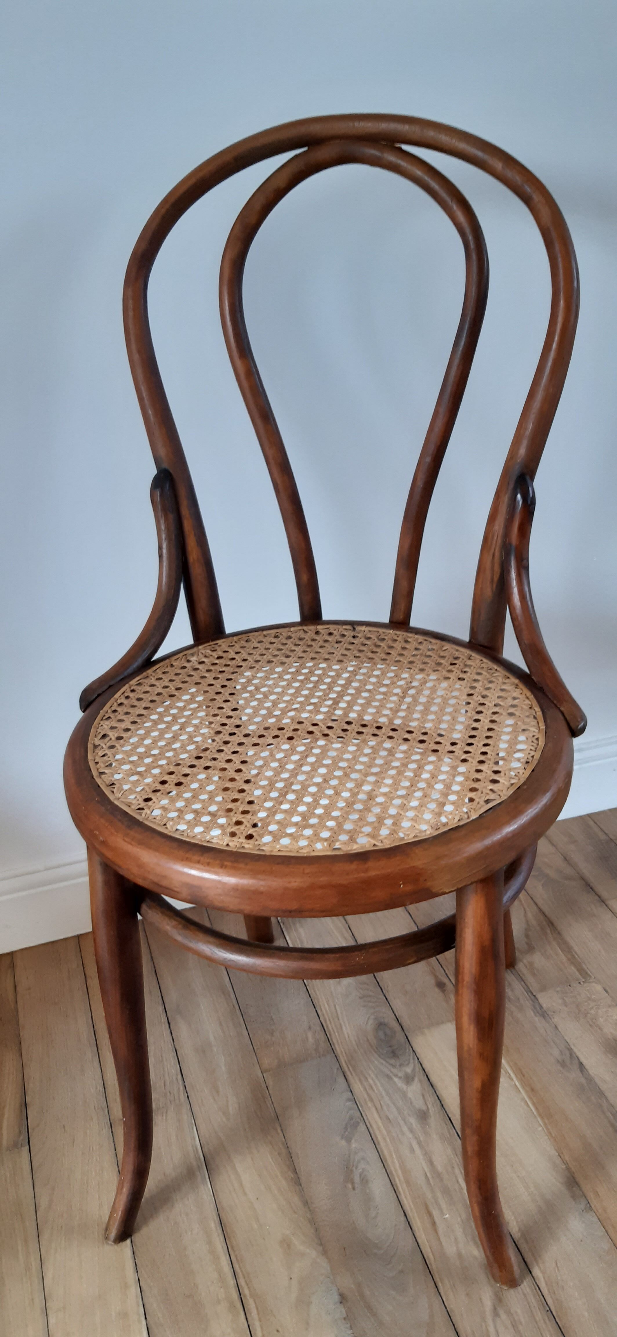 Chair in bentwood and canning XIXth