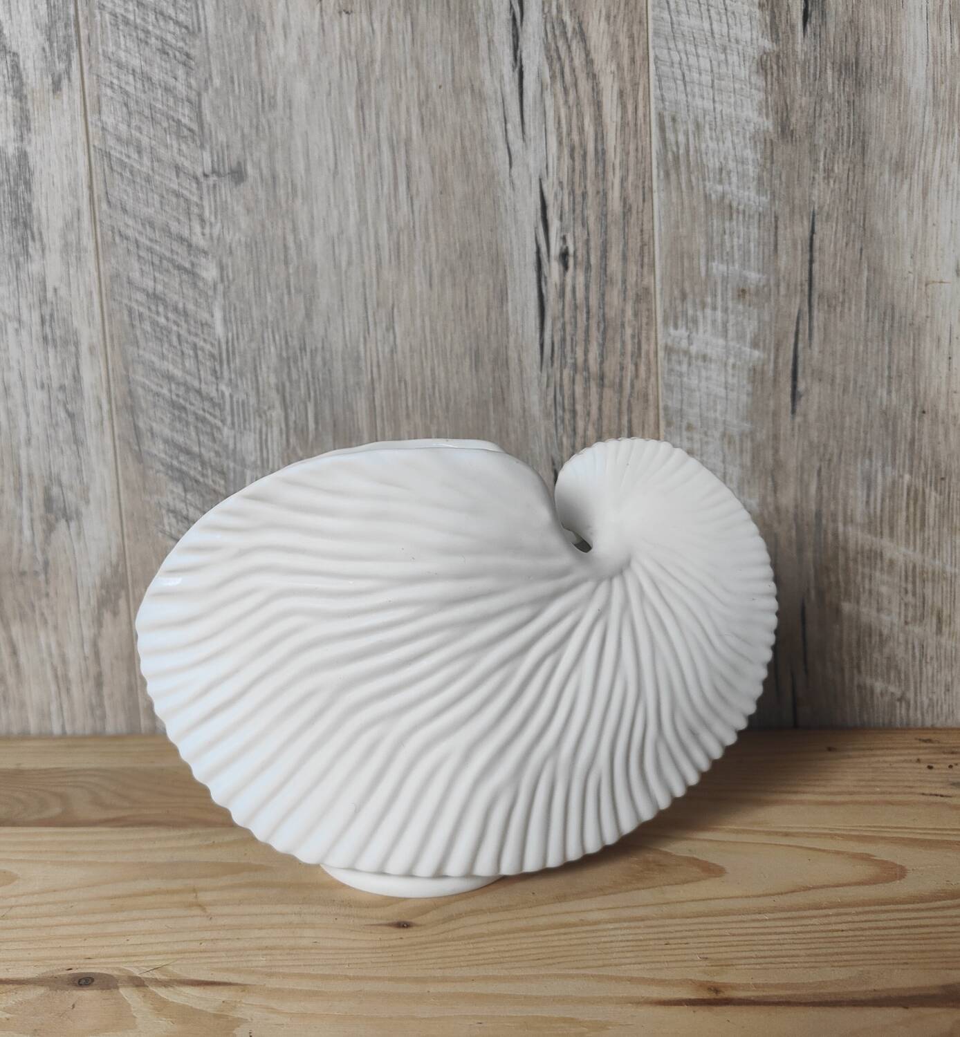 Shell tea light holder