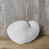 Shell tea light holder