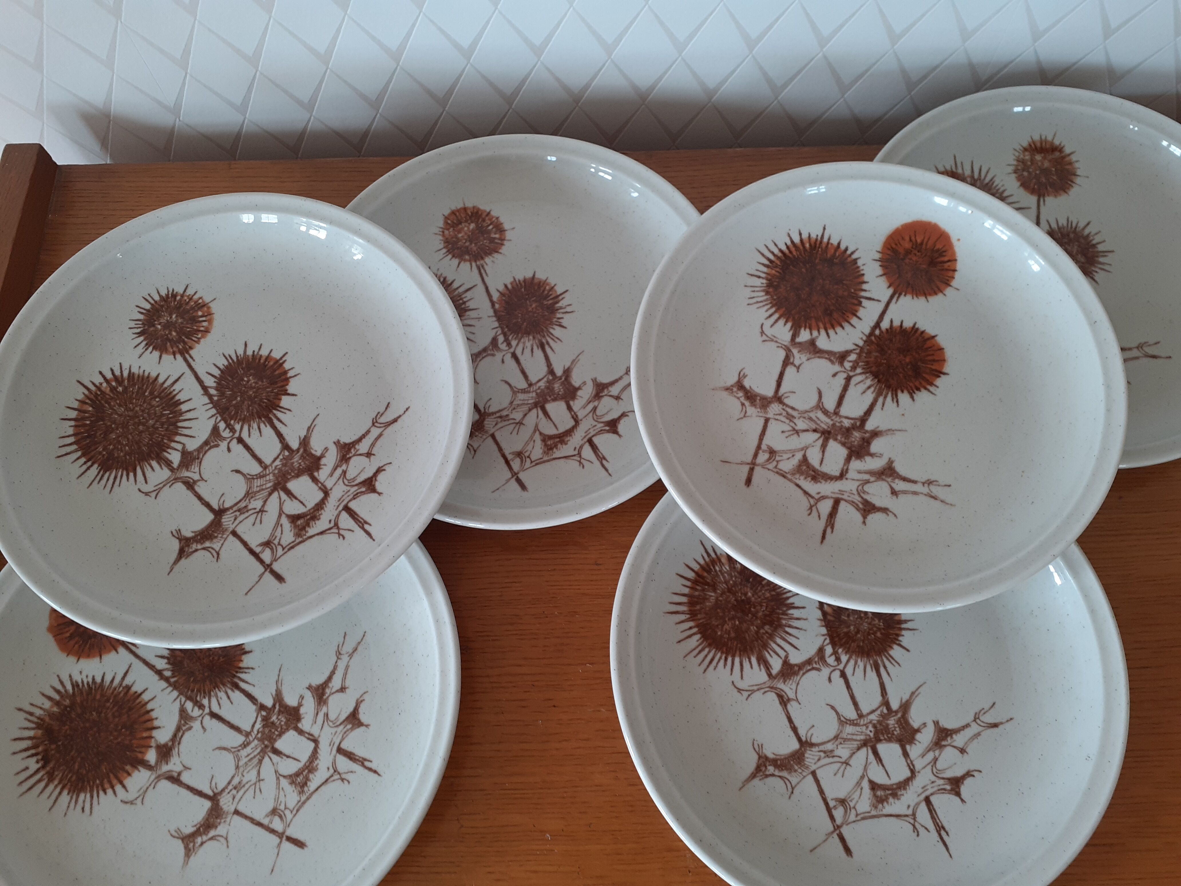 6 assiettes en grès Sarreguemines motif "chardons"