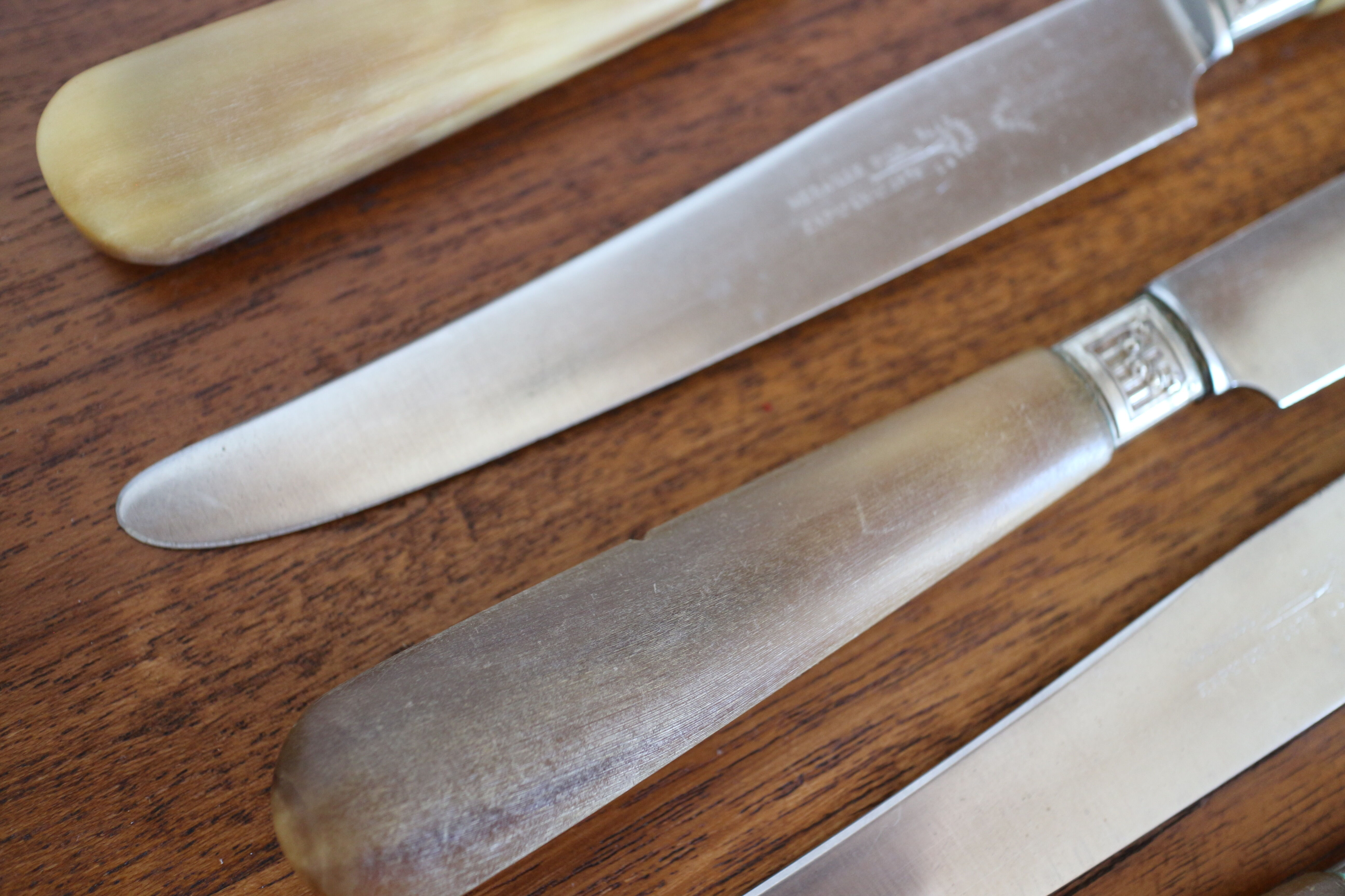 Set of 10 horn knives