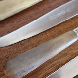 Set of 10 horn knives
