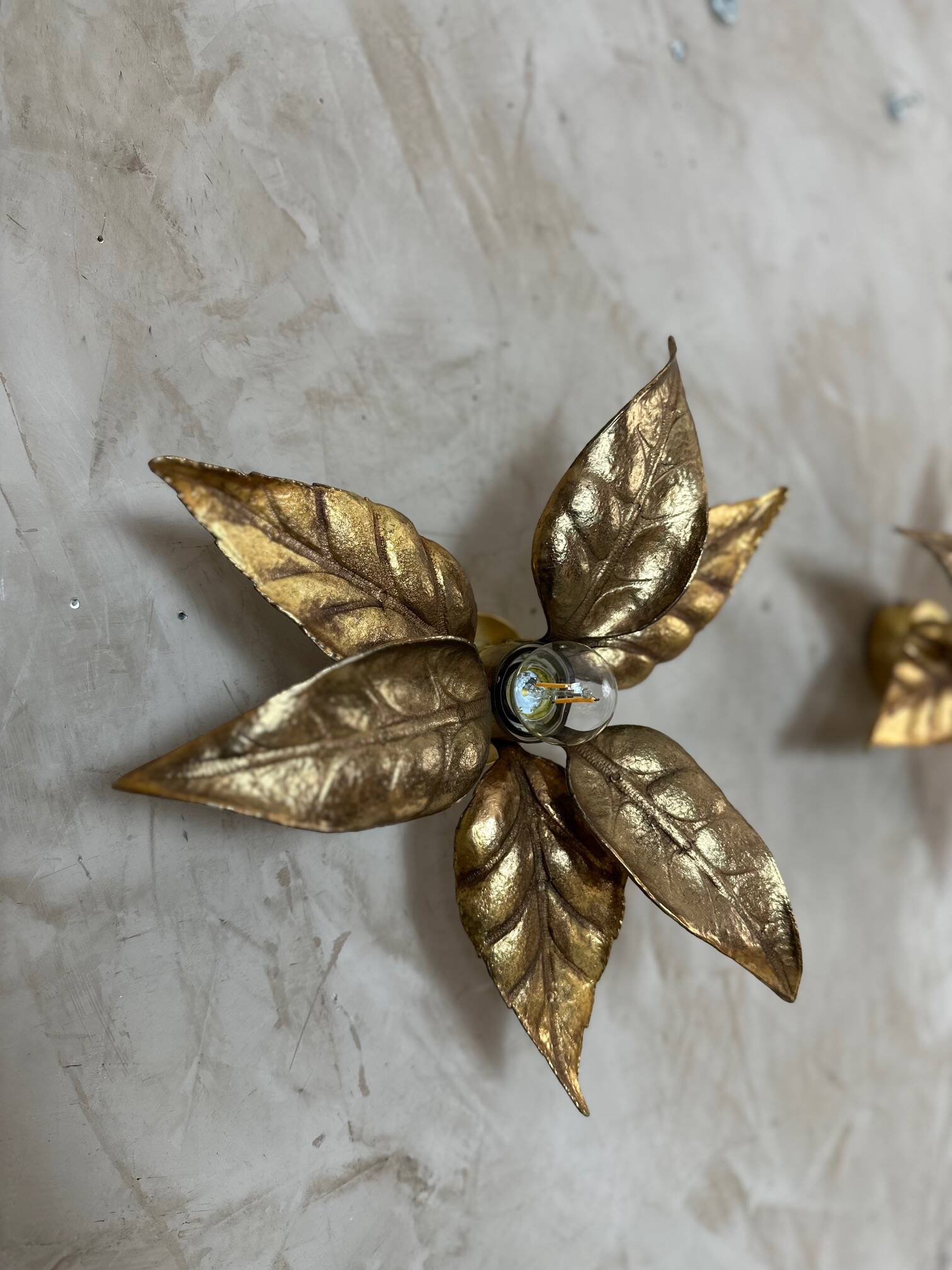 Pair of wall sconces by Willy Daro