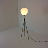 Stilnovo Tripod Floor Lamp, Italy 1950's