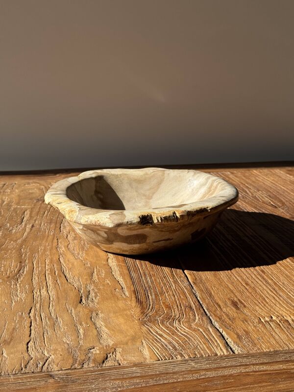Coupe en bois pétrifié ronde beige D21- 3780