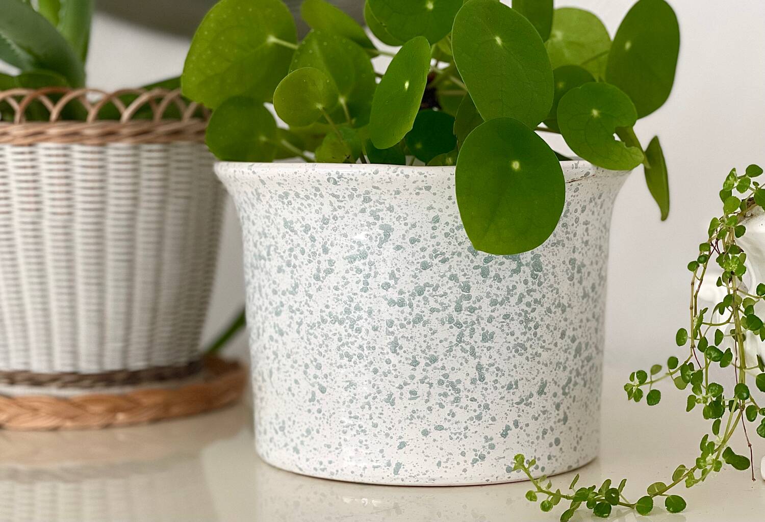 Speckled ceramic planter