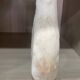 Vase relique