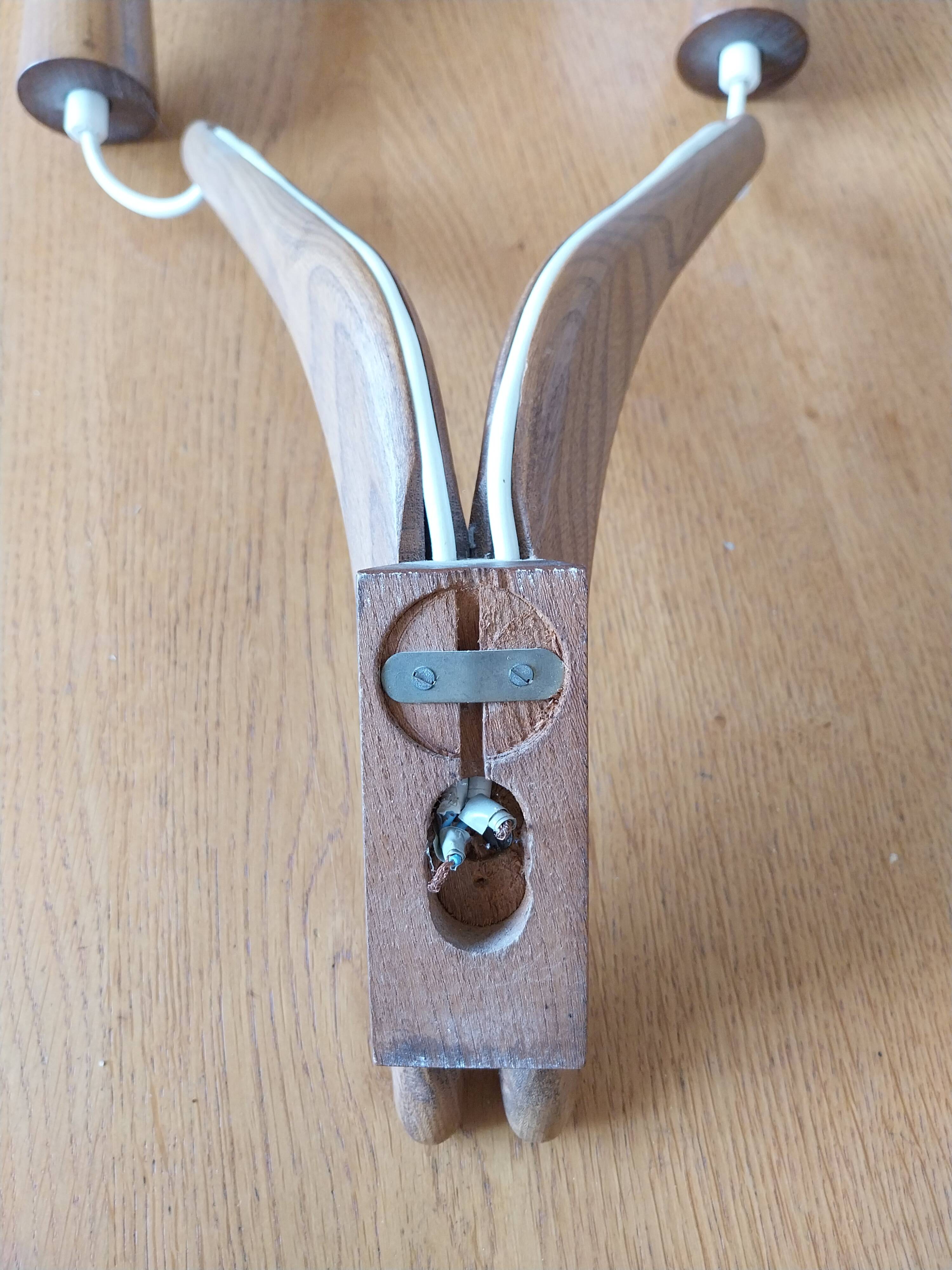 double teak wall lamp and Scandinavian suspended opalines