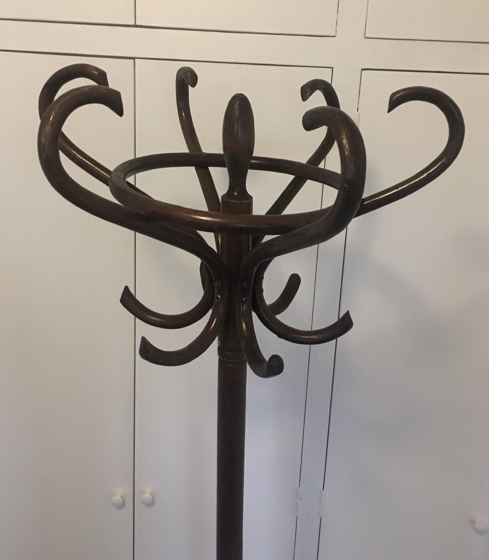 Old curved wooden parrot coat holders