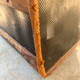 Old trunk