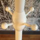 Sputnik parrot coat hanger