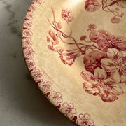 Assiette creuse terre de fer gien capusine 1862