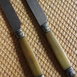 Lot 6 knives Ferrules flower shell blade bakelite steel