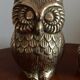 Family of owls owls brass