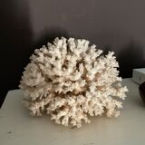Vintage coral 22 cm