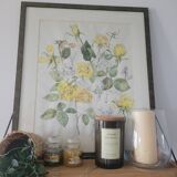 Illustration ancienne encadrée – Roses jaunes – Style botanique – 63x76 cm