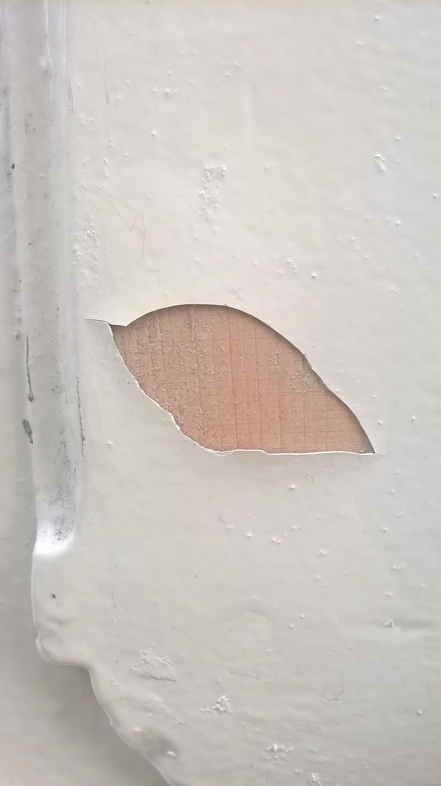 Old Haussmann double doors