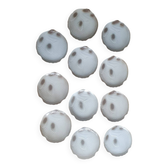 Fish plates from Salins