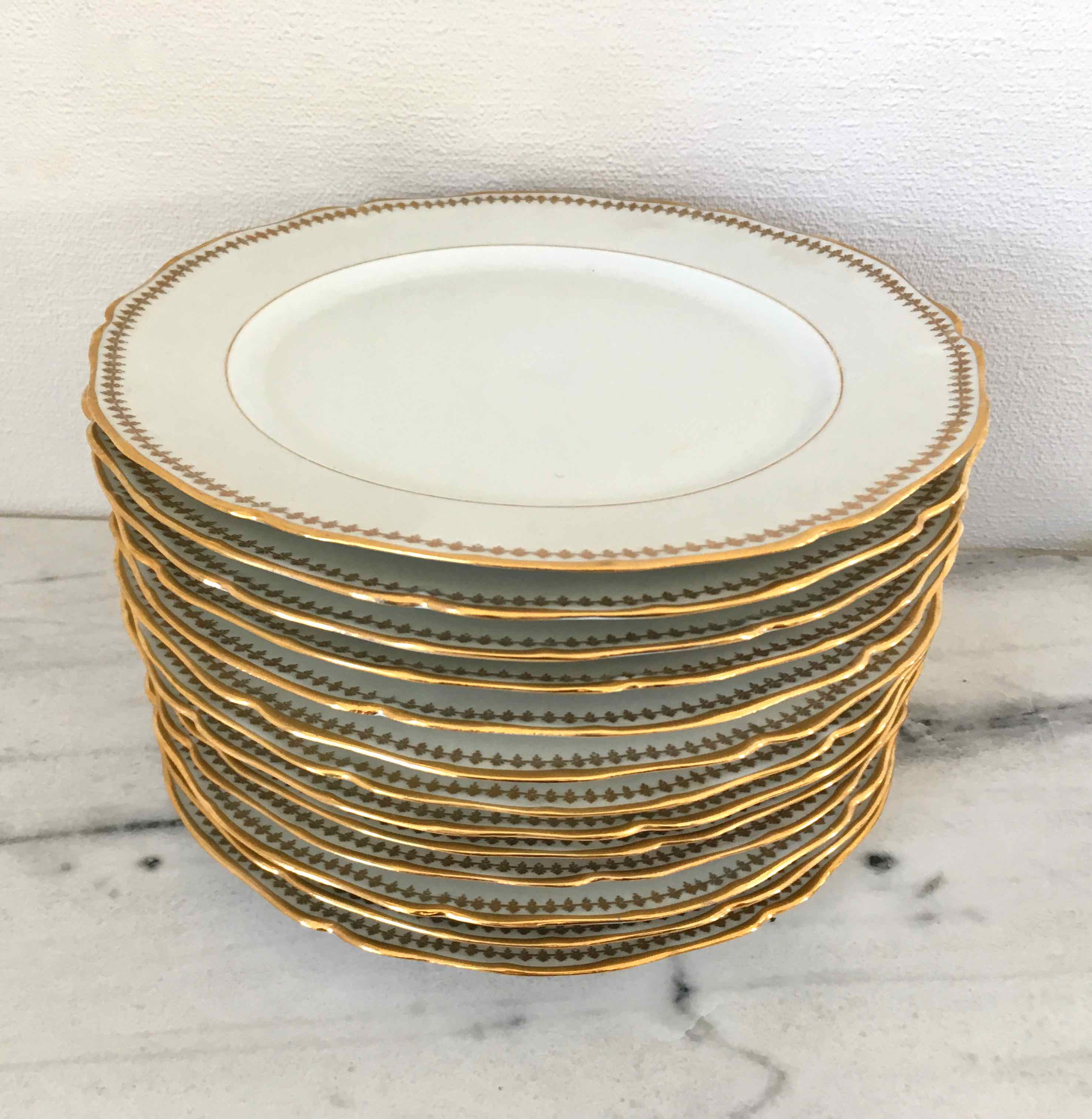 Set 12 plates and 3 dishes porcelain of Sologne