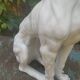Ceramic greyhound life-size Italy