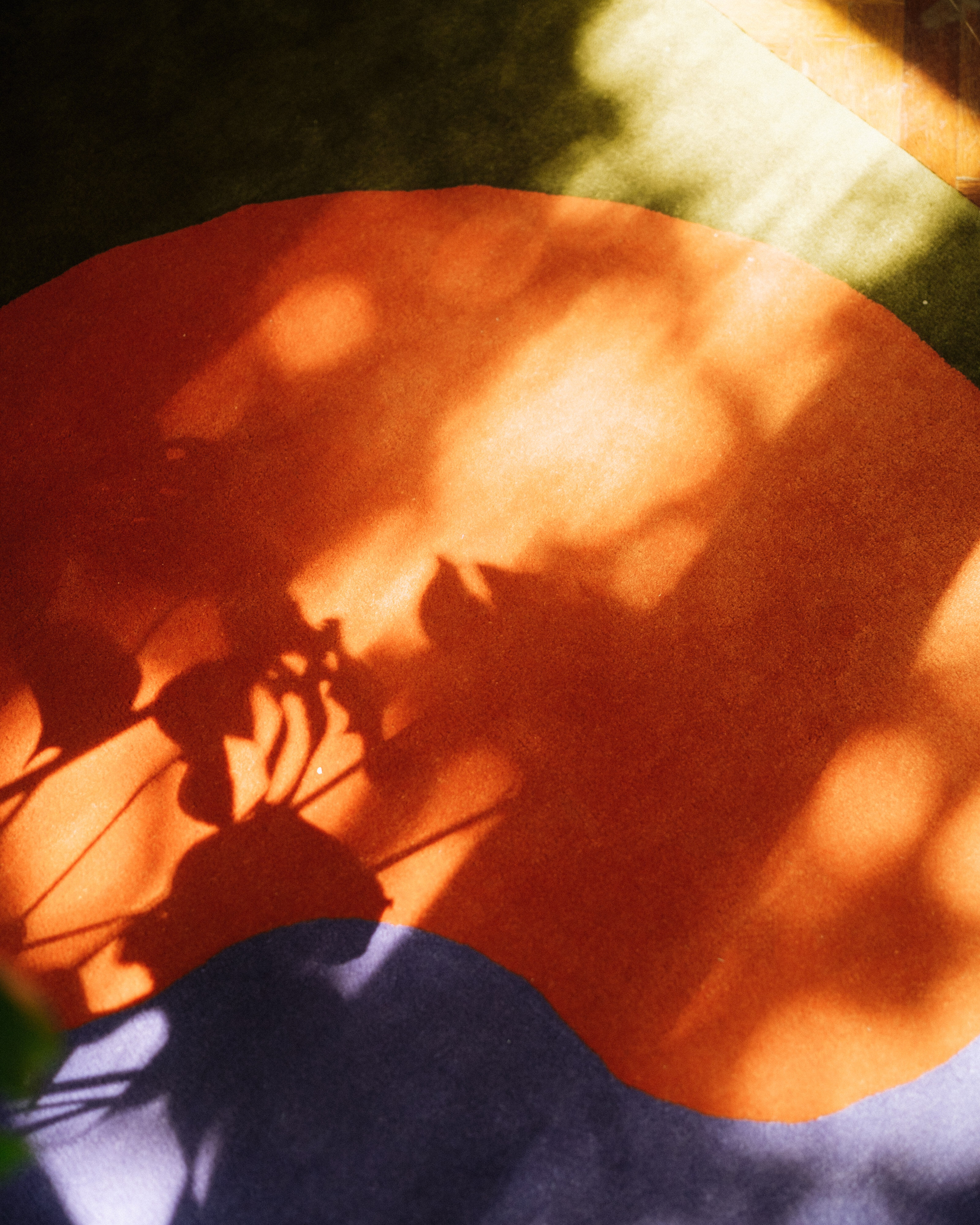 Purple baywatch wool tufted rug handmade 140 x 210 cm