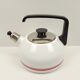 Enamelled kettle white border red and black